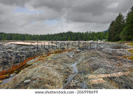 Pacific ocean coast in low tide under the storm sky. Vancouver Island. British Columbia. Canada