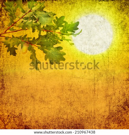 Textured old paper sunshine background with oak branch leaves and acorns.Copy space is available