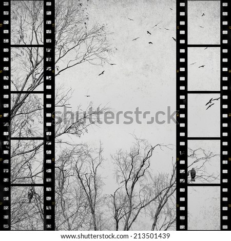 Textured old paper background with films strips, fall trees and birds  -  Vintage film stripe abstract background