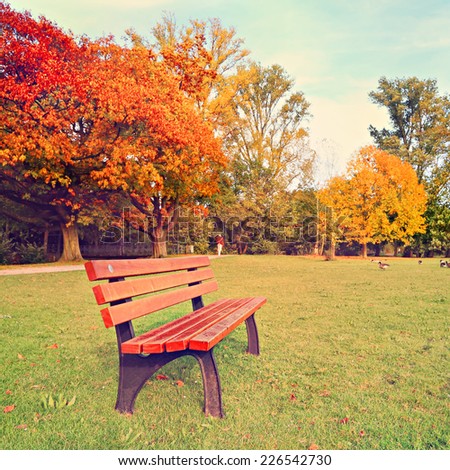 Autumn wooden bench in old public park - done in vintage retro instagram style