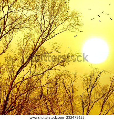 Sunlight texture with naked tree silhouettes and flying birds yellow background