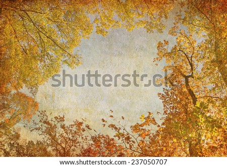 Textured old paper fall trees background