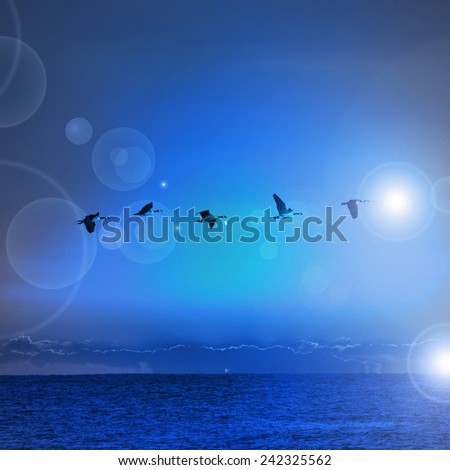 Flying birds over blue seaside -  filtered impression image with magic blurred flash lights. Nature texture blue abstract background