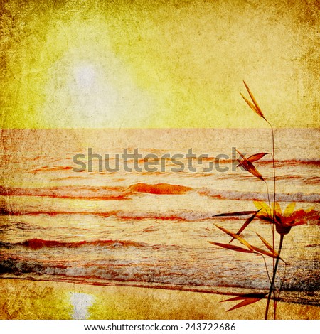 Textured old paper background with sea sunlight and herbs - Nature texture abstract background