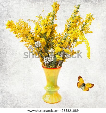 Mimosa flowers in yellow vase and yellow butterfly on old paper texture. Aged textured image. Blossoming branches of mimosa (Acacia) and eucalyptus tree - bouquet of exotic plants in a yellow vase