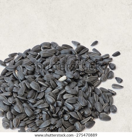 Textured old paper background with sunflower seeds