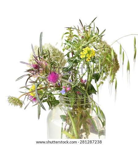 Wild flowers and herbs in glass jar. Isolated on white background