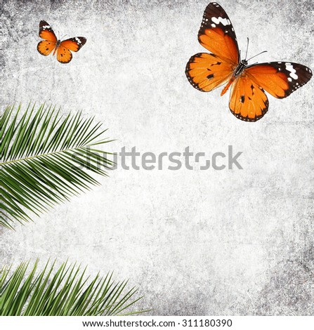 Exotic wildlife world textured background. Old paper textured background with Butterfly Danaus chrysippus (Plain tiger or African monarch) and leaves of a date palm ( Phoenix dactylifera) 
background