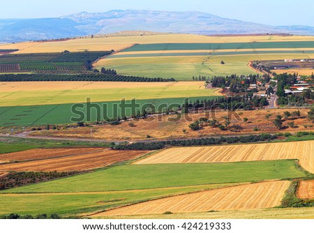 View on agriculture valley. Green fields,arable lands,olive plantations and wheat fields.Valley Arbel. In the background Galilee mountains. Agricultural theme. Harvesting. Galilee, Israel