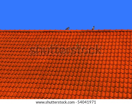 Red tiled roof and pigeons on blue sky background