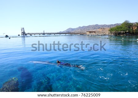 Diver floating in the Red sea with a dolphin against a fine sandy beach with a bungalow in a shade of palm trees and mountains in the distance