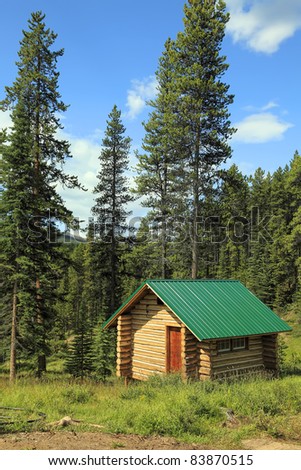 Wooden house with a green roof in wood