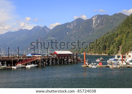Mooring for the ships, yachts and walking boats and the mountains covered with wood, in the distance (Vancouver. Canada)
