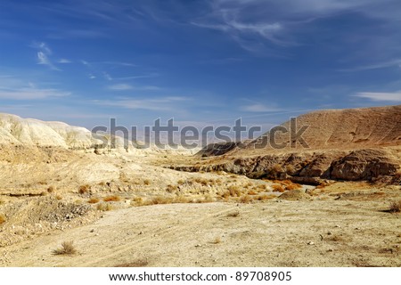 Dried up channel of the river in stony desert. Jordan valley. Israel.