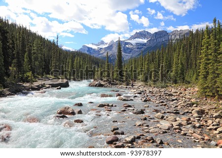 Rocky mountains and river with a rapids currents in a valley between mountain wood in Banff National Park (Alberta, Canada)