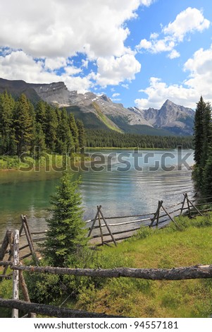 Rocky mountains and river currents in a valley between mountain wood in Banff National Park  (Alberta, Canada)