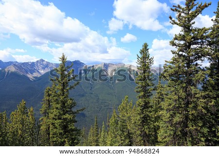 Rocky mountains covered with coniferous wood  in Banff National Park (Alberta, Canada)