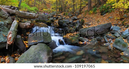 Autumn creek closeup panorama with yellow maple trees and foliage on rocks in forest with tree branches.
