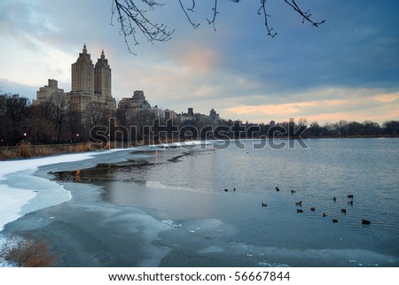 central park new york winter. Park in Winter, New York