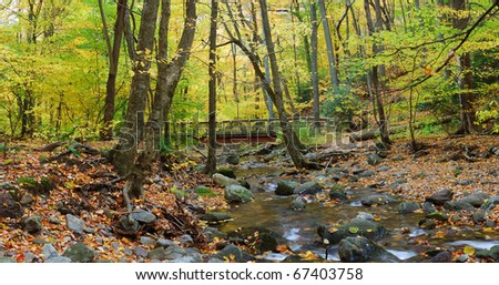 Autumn forest with wood bridge panorama over creek in yellow maple forest with trees and colorful foliage.