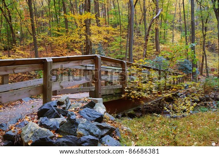 Autumn forest with wood bridge over creek in yellow maple forest with trees and colorful foliage.