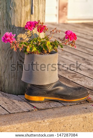A little flower garden planted in a rubber boot planter.