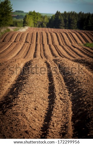 Farm field with hills and rows and freshly planted with potatoes on rural Prince Edward Island, Canada.