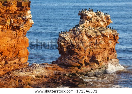 The rocky shore of Prince Edward Island at daybreak illuminating the cliffs and rocks bright red. A colony of cormorants clings to a distant rock stack.