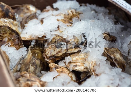 A box of fresh oysters packed in shaved ice .