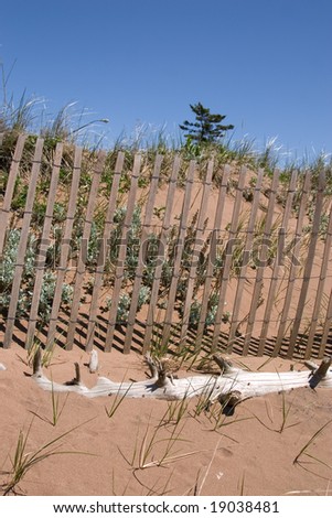Snow fencing used to protect the erosion of the sand dunes at West Point Beach, Prince Edward Island, Canada.