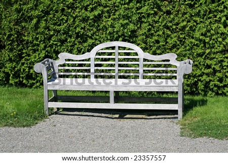 A single wooden garden bench in a formal garden or park positioned against a cedar hedge.