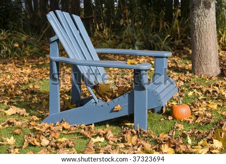 Blue wooden chair sitting amongst the fallen leaves.