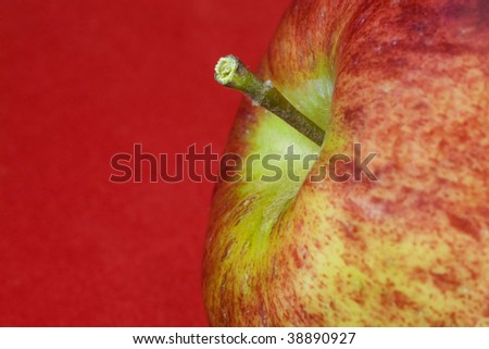 A tangy new Cortland apple grown on a Prince Edward Island Farm.  Focus is on the stem.  Background is red velvet.