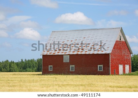 An old red barn in a field of grain.