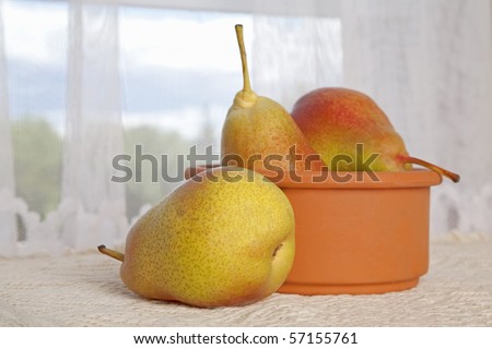 Three pears and a clay bowl on a table in front of a lace covered window. Focus on the front pear.