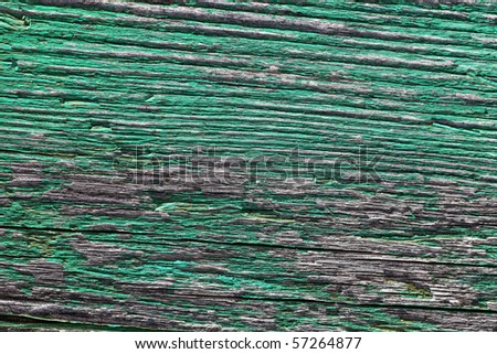 Green paint peeling on an old rotten wooden board.