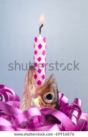 A humorous approach at a  happy birthday wish with a lit candle and a fish ( locally know here as a smelt) surrounded by curly ribbon.