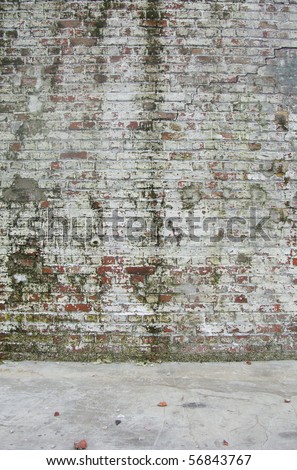 dirty worn painted white factory brick wall with some moss