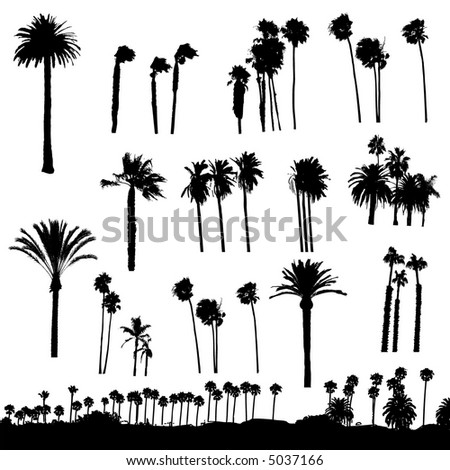 date tree clip art. dates tree clipart. green trees clip art available
