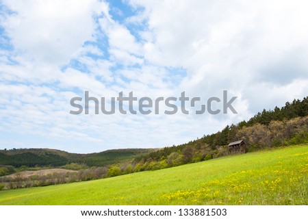 Beautiful spring landscape, hunting box on floral slope