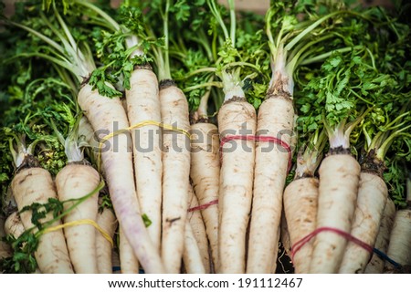 Parsley roots (Petroselinum crispum) with green leaves in bunch on marketplace