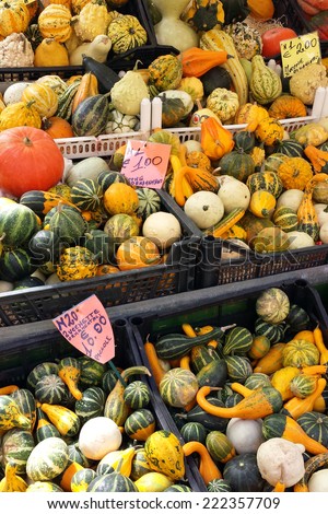 Colorful pumpkins on the marketplace