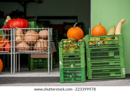 Colorful decorative pumpkins in carts on the modern rural marketplace