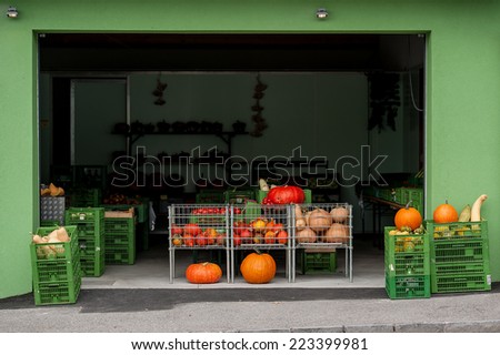 Colorful decorative pumpkins in carts on the modern rural marketplace