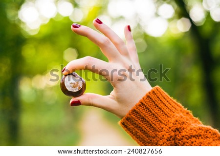 Woman in knitted orange sweater hold a brown horse chestnut in her hands in the blurred autumn woods in the background