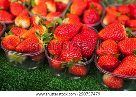 Group of vivid red ripe healthy strawberries in basket on the fruit market