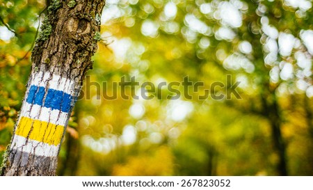 Blue and yellow tourist directional guidance sign for hikers painted on trunk in the forest on blurred bokeh background