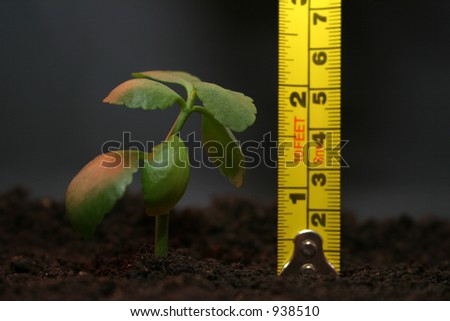 Measurement of height of a plant