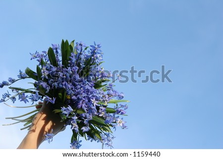 Blue flowers on a blue sky