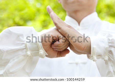 hand of master making gestures for kung fu